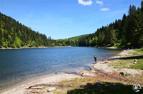 Week End La Bresse Notre Escapade Dans Les Vosges