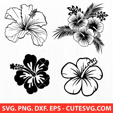 Hawaiian Flower Svg Cut File Hibiscus Flower Svg Bundle Png