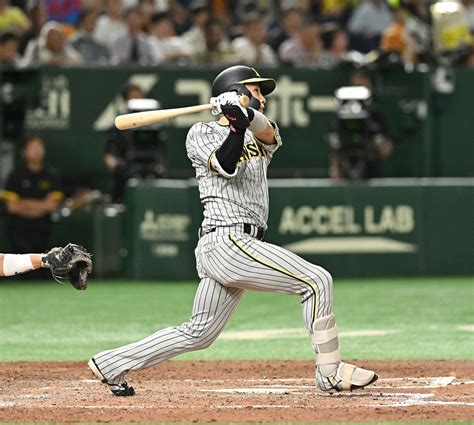 【阪神】木浪聖也が今季1号グランドスラム！プロ入り最多6打点の大暴れ プロ野球写真ニュース 日刊スポーツ