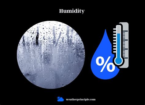 The Powerful Impact of Humidity on Our World - Weather Principle