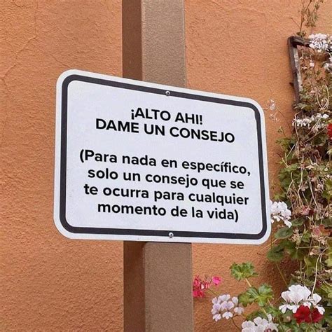 Alto ahí dame un consejo Para nada en específico solo un consejo