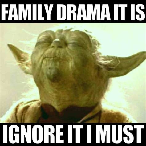 hilarious family memes  funny images  relatives