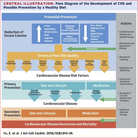 Cardiovascular Disease Prevention By Diet Modification Jacc Health