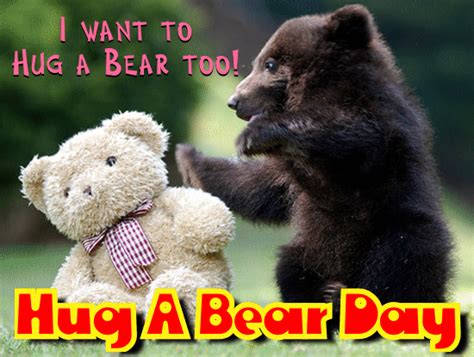 I Want To Hug A Bear Too! Free Hug a Bear Day eCards, Greeting Cards ...