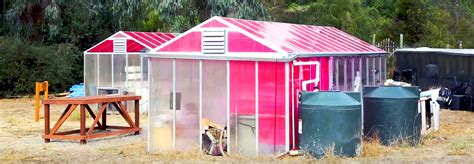 These Magenta Greenhouses Grow Plants Faster While Generating Clean Energy