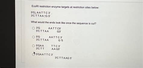 Solved EcoRI restriction enzyme targets at restriction sites | Chegg.com