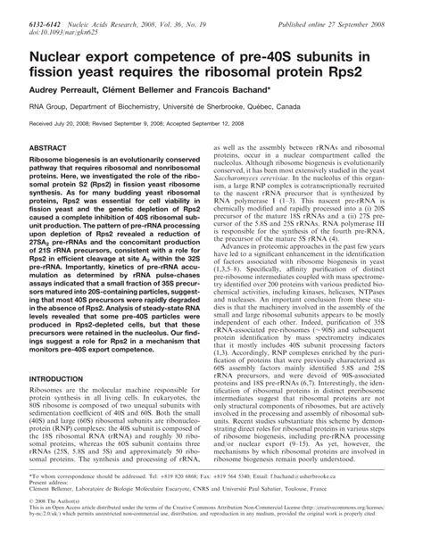 Pdf Nuclear Export Competence Of Pre 40s Subunits In Fission Yeast