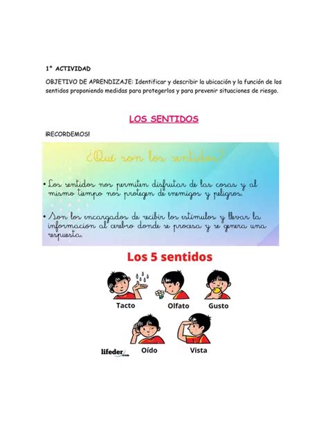 Cuadernillo De Actividades Ciencias Naturales Profe Social