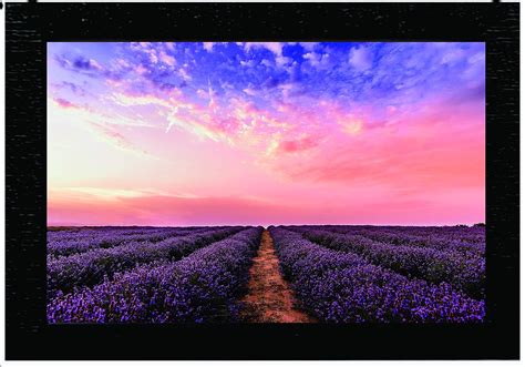 Buy Shree Handicraft Beautiful Lavender Fields Scenery Photo Frame