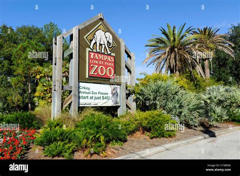 Lowry Park Zoo St Petersburg Florida Downtown Stock Photo Alamy