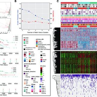 Multi Omics Integrative Molecular Subtype Of Colorectal Cancer