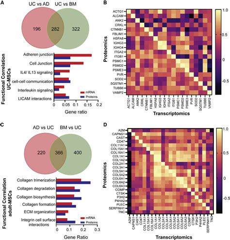 Functional Correlation Analysis Between Transcriptomics And Proteomics Download Scientific