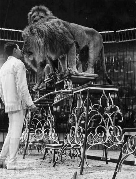 Lomography Taming The Beast Vintage Lion Tamer Photos Circo