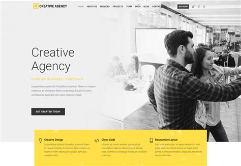 20 Best Elementor Themes For Wordpress 2024 Radiustheme Wordpress