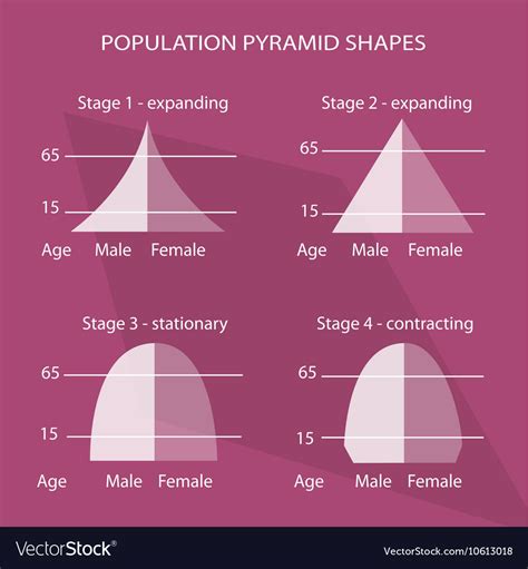 Four Different Types Of Population Pyramids Charts