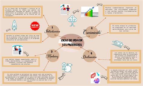 Actividad Mapa Mental Ciclo De La Vida De Un Producto Ciclo De