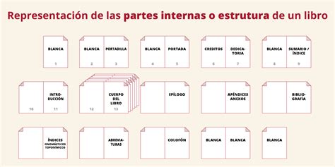 Las Partes De Una Hoja Conoce Su Estructura Y Funciones En Las Plantas