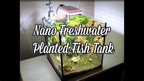 Nano Freshwater Planted Tank Led Lights Youtube