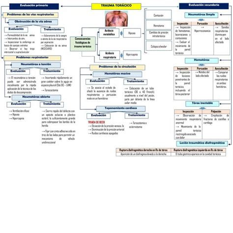 Trauma Torácico Lapepamédica Udocz