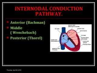 CONDUCTION SYSTEM OF HEART | PPT