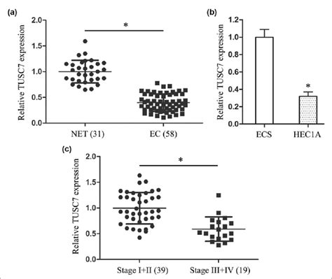 Lncrna Tusc7 Was Overexpressed In Endometrial Carcinoma Ec A The