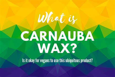 What Is Carnauba Wax And Is It Okay For Vegans To Use