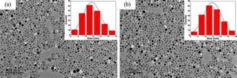 Tem Images And Size Distributions Of Peg Pei Spions A And Gsh Spions B