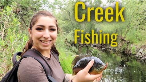 Creek Fishing Catching Beautiful Fish Youtube