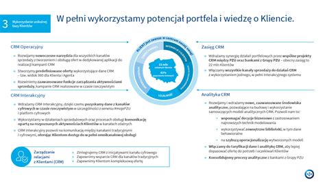 Strategia Nowe Pzu Pzu Raport Roczny