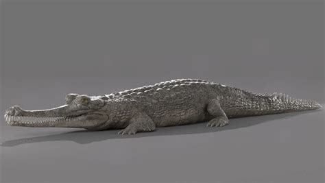 Gharial Crocodile - FlippedNormals