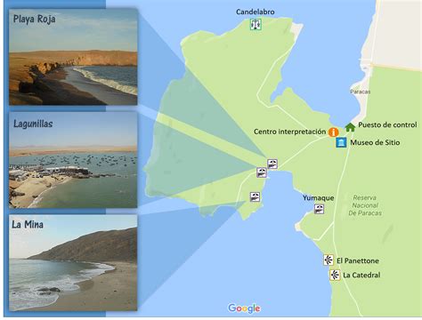 ¿vas Dónde Quieres Ir Reserva Nacional De Paracas