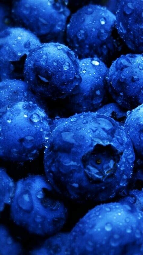 Blueberry Wallpaper - KoLPaPer - Awesome Free HD Wallpapers