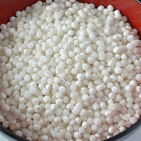 Dried White Round Sabudana For Cooking Packaging Type Loose At Rs 78