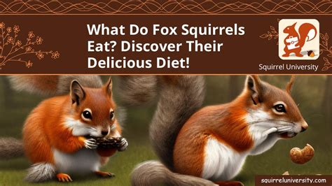 What do Fox Squirrels Eat? Discover Their Delicious Diet! - Squirrel ...