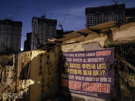 무허가 판자촌은 집 아닌가요 겨울이 두려운 구룡마을 사람들 한국일보