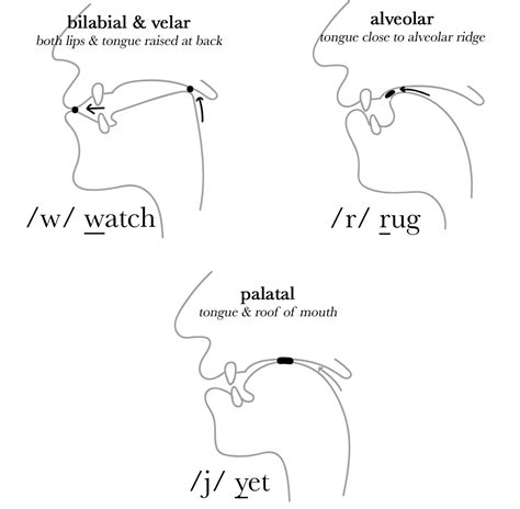 Approximant Consonant Sounds The Sound Of English