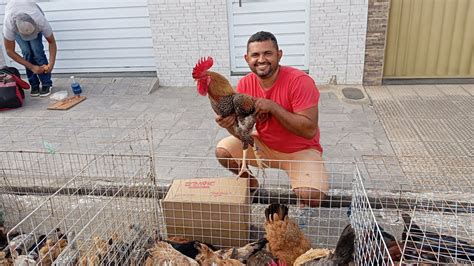 Vanio Das Galinhas Mostrando As Cria Es Na Feira De Arapiraca