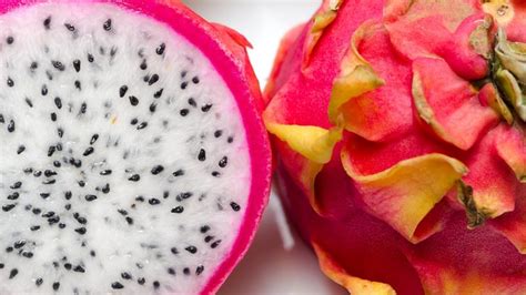 Como Plantar Pitaya Em Vaso E Aproveitar Esse Fruto Delicioso E Ex Tico