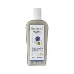 Shampooing Spécifique Bio Capilargil 250ml Anti chute Dermaclay Easypara