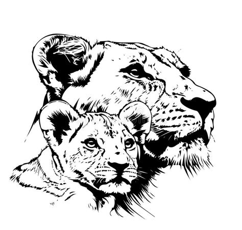 Hand Drawn Portrait Of Lioness And Lion Cub Stock Illustration