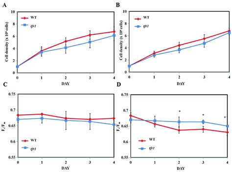 Growth And Maximum Quantum Yield F V F M Parameter Of Wild Type