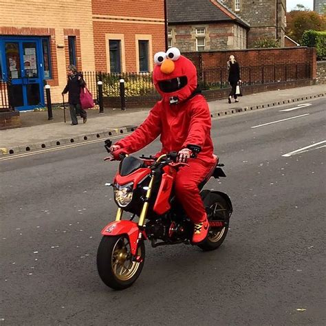 Muppet Head Motorcycle Helmet | Reviewmotors.co