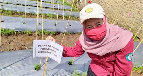 Manfaatkan Akar Bambu Milenial Ini Mengajak Bertani Organik