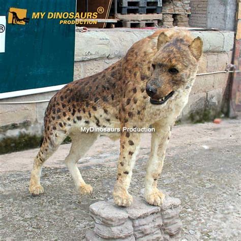 FDF-069 Realistic Life Size Dinocrocuta Statue | My Dinosaurs