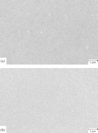 A Low Resolution Scanning Electron Micrograph Of An Uncoated Anodized