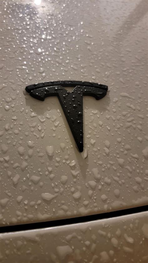 Satin black Tesla logo and license plate. : r/TeslaModel3