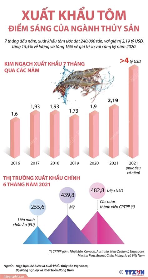 Infographics Xu T Kh U T M I M S Ng C A Ng Nh Th Y S N