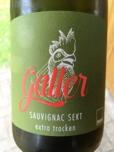 Galler Sauvignac Sekt Extra Trocken Vivino US