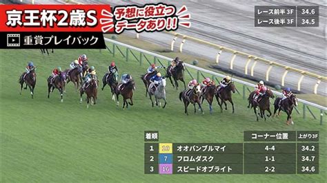 【京王杯2歳s 2023】過去5年のレース映像・傾向 競馬予想動画 Netkeiba