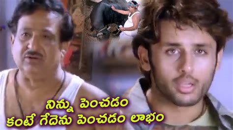 Chandra Mohan And Nithiin Hilarious Buffalo Comedy Scene Telugu Movie